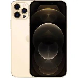 iPhone 12 Pro Max 256GB