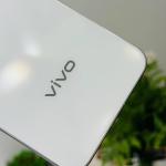 Vivo X200 Pro Mini (12GB/256GB)