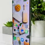 Xiaomi Mi 15 Pro (16GB/512GB)